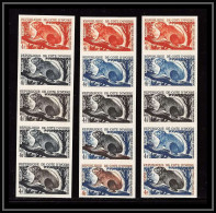 1044 Cote D'ivoire Ivory N° 213 Daman Marmotte Non Dentelé Imperf ** MNH Essais Proof Lot De 3 Bande 5 Animals Strip - Nager