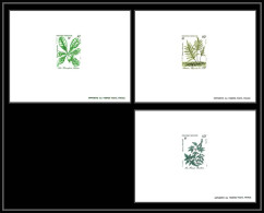 1510a épreuve De Luxe / Deluxe Proof Polynésie (Polynesia) N°268 / 270 Fleurs (plants - Flowers) Plantes MédicinalesTTB - Geschnittene, Druckproben Und Abarten