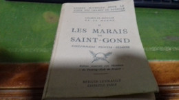 150/ GUIDES MICHELIN POUR LA VISITE DES CHAMPS DE BATAILLE DE LA MARNE LES MARAIS DE SAINT GOND 1917 / 120 PAGES / - Michelin-Führer