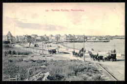 MONTEVIDEO - Rambla Pocitos ( Editor: A. Carluccio Nº 348)  Carte Postale - Uruguay