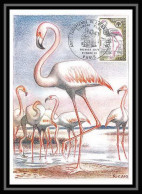 2448/ Carte Maximum (card) France N°1634 Flamant Rose Oiseaux (birds) Edition Cef Fdc Premier Jour 1970 - Picotenazas & Aves Zancudas