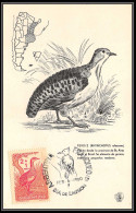 3566 Argentine (Argentina) Carte Maximum (card) Perdrix Partridge Perdriz Fdc 6/2/1960 Oiseaux Bird Birds  - Perdiz Pardilla & Colín