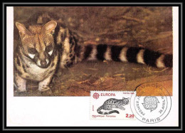 4185/ Carte Maximum (card) France N°2416 Europa 1986 Faune Animals Genette Paris édition Farcigny Fdc 1986  - 1986
