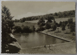 MONTREDON LABESSONNIE (81/Tarn) - Piscine - Montredon Labessonie