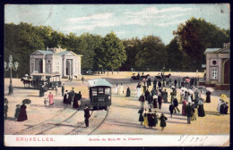 +++ CPA - BRUSSEL - BRUXELLES - Entrée Du Bois De La Cambre - Couleur 1905  // - Parks, Gärten