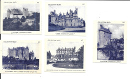 AP42 - IMAGES CHOCOLAT IBLED - CHATEAUX INDRE ET LOIRE - USSE CHINON LUYNES LOCHES - Victoria