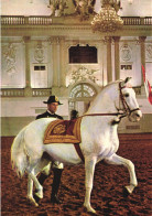 VIENNA, SPANISH RIDING SCHOOL, ANIMAL, HORSE, ARCHITECTURE, AUSTRIA, POSTCARD - Wien Mitte