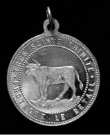 Pendentif Médaille Religieuse 1895 "Très Sainte Trinité, Protégez Le Bétail - Chapelle De La Trinité / Haute-Loire" - Religion & Esotérisme