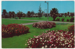 Santa Ana, California - A Bower Garden, Memorial Park - (CA, USA) - Santa Ana