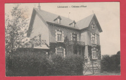 Libramont - Château D'Ourt - 1913 ( Voir Verso ) - Libramont-Chevigny