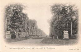 FRANCE - Parc Du Château De Chantilly - Vue Générale De L'Allée De L'Entrainement - Carte Postale Ancienne - Chantilly