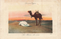ALGERIE - Scènes Et Types - La Prière Du Soir - Colorisé - Carte Postale Ancienne - Escenas & Tipos