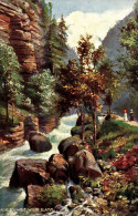 H0064 - Wilde Klamm Sächsische Schweiz - Oilette Künstlerkarte - Raphael Tuck & Sons - Bastei (sächs. Schweiz)