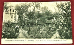 LINKEBEEK  -  Horticulture Et Pépinières De Linkebeek - Jardin Robinson - Vue D'une Partie Des Dahlias Cactus - Linkebeek