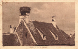 FRANCE - Alsace - Vue D'un Nid De Cigones - Carte Postale Ancienne - Alsace