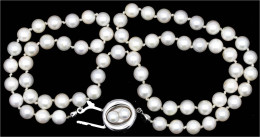Perlencollier Mit Verschluss Weißgold 585/1000. Länge 50 Cm, 65 Perlen Und Zusätzlich Zwei Auf Dem Verschluss. Gesamtgew - Other & Unclassified