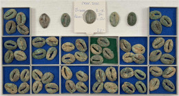 Sammlung Von 60 Kauri-Imitationen Aus Bronze. Meist Sehr Schön - Chine