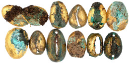 12 Kauri-Imitationen, Alle Bronze, Vergoldet. Schön Bis Sehr Schön, Teils Korrodiert - China