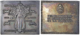 Rechteckige Silberplakette O.J. Von Lecuizamon. Prämie Des Landwirtschaftsministeriums. 70 X 80 Mm; 145,63 G. Vorzüglich - Argentinië