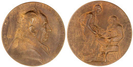 Bronzemedaille 1886 Von O. Roty. 100. Geburtstag Des Chemikers Michel Eugene Chevreul. 69 Mm. Im Beschädigten Und Handbe - Sonstige & Ohne Zuordnung