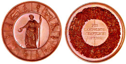 Bronzemedaille O.J.(1878) Von Loos. Für Landwirtschaftliche Leistungen. 41 Mm. Vorzüglich/Stempelglanz, Kl. Kratzer, Zap - Sonstige & Ohne Zuordnung