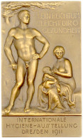 Einseitige Rechteckige Bronzeplakette 1911 Von Poppelmann. Internat. Hygieneausst. Dresden. 66 X 113 Mm. Im Originaletui - Autres & Non Classés