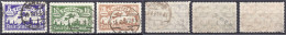 5 M., 10 M. Und 20 M. Flugpostmarken (III) 1923, Drei Gestempelte Werte Mit Wasserzeichen 3 Y, Geprüft Erdwien/Gruber BP - Sonstige & Ohne Zuordnung