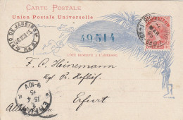 Brésil Entier Postal Illustré Pour L'Allemagne 1895 - Interi Postali