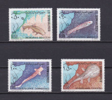 SOMALIE 1979 TIMBRE N°245/48 NEUF** POISSONS - Somalia (1960-...)