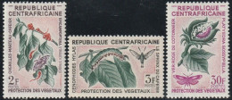 THEMATIC FLORA:  PROTECTION OF PLANTS FROM HARMFUL INSECTS   -  CENTRAFRICAINE - Légumes