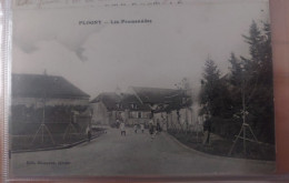 FLOGNY 89 - RARE - LES PROMENADES - EDITION BESANÇON - BELLE ANIMATION CIRCULEE 2 - Flogny La Chapelle