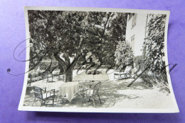 Hotel Bellevue Sierre-Siders Valais Suisse  Jardin 1954 - Autres & Non Classés