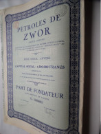 Pétroles De ZWOR S.a. ( Part De FONDATEUR ) Sans Mention De Valeur / Anvers > Nos 2060 T.e.m. 2069 ( 10 Stuks / Pcs.) ! - Erdöl