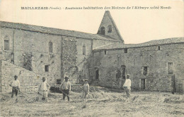 MAILLEZAIS - Ancienne Habitation Des Moines De L'abbaye (côté Nord). - Maillezais