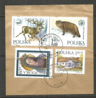 POLAND. 1999. ANIMALS USED ON PIECE. KRAKOW WER POSTMARK - Usati