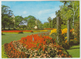 Australia VICTORIA VIC Exhibition Gardens MELBOURNE Murfett P112 Postcard C1970s - Melbourne