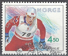 Norwegen Norway 1993. Mi.Nr. 1120, Used O - Gebruikt