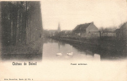 BELGIQUE - Château De Beloeil - Vue Sur Le Fossé Extérieur - Nels Bruxelles Serie 45 No 4 - Carte Postale Ancienne - Belöil