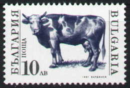 3900 Bulgaria 1991 Farm Animals Cow ** MNH / Haustiere Kuh Bulgarie Bulgarien Bulgarije - Ongebruikt