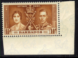 Barbados 1937 KGV1 1 1/2d Coronation Yellow Brown Umm SG 246 ( H676 ) - Barbados (...-1966)