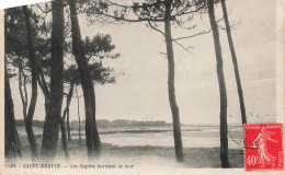 FRANCE - Saint Brévin - Les Sapins Bordant La Mer - Carte Postale Ancienne - Saint-Brevin-l'Océan