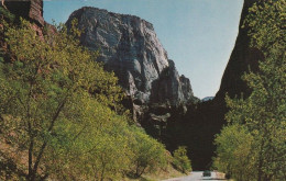 1 AK USA / Utah * Zion Canyon Im Zion National Park - Great White Throne In The Distance * - Zion