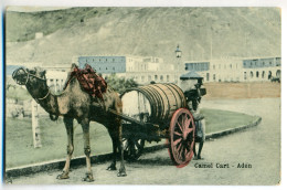 Camel Cart, Aden, Yemen - Jemen
