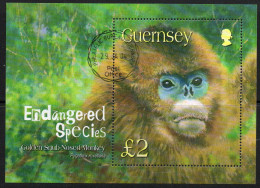 Guernsey 2004 Endangered Species, Golden Snub-nosed Monkey MS, Used, SG 1016 - Guernsey