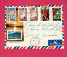 Lettre De 1976 Pour La France - YT N° 27, 28 X 2, 64, 83 Et 97 - Storia Postale