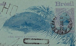 Brazil 1896 Postal Stationery Card Stamp 80 Réis From Rio De Janeiro To Paris France Cancel DH +clips +maritime Postmark - Entiers Postaux