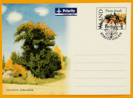 Åland 2004 Postal Stationery Postcard, First Day Cancellation - Hybrid Mountain Ash Tree - Aland