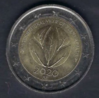 BELGIQUE - 2 Euro - 2020 - International Year Of Plant Health - Circ - België