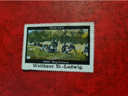 SUISSE Timbre Erinnophilie WELTHAUS ST LUDWIG MILITAR SERIE ITALIEN BERG ARTILLERIE - Erinnophilie