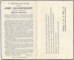 Doodsprentje  *  Haeghebaert Aimé  (° Oudenburg 1857 / + Zandvoorde 1952) X Hostens Amelie - Religion & Esotérisme